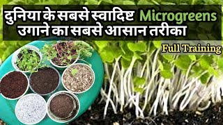 Grow MICROGREENS Plants at Home in One Week (Micronutrients) - Full Training In Hindi