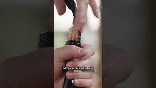 How To Open A Bottle Of Wine