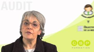 Expliquer ce qu'est un audit - Vidéo Audit 1/12 screenshot 3