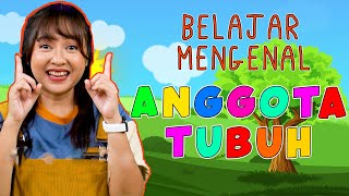 Mengenal ANGGOTA TUBUH untuk Balita dan Anak Anak dengan lagu lagu interaktif | Hai Kids