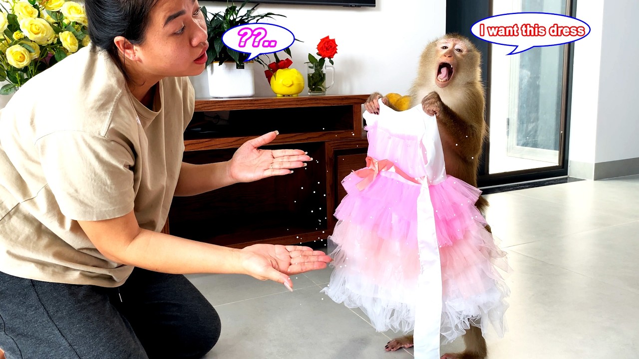 So stylish! Monkey Lyly is so fashionable, always wanting to dress nicely, which makes her mom laugh