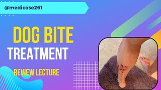 dog bite | rabies virus