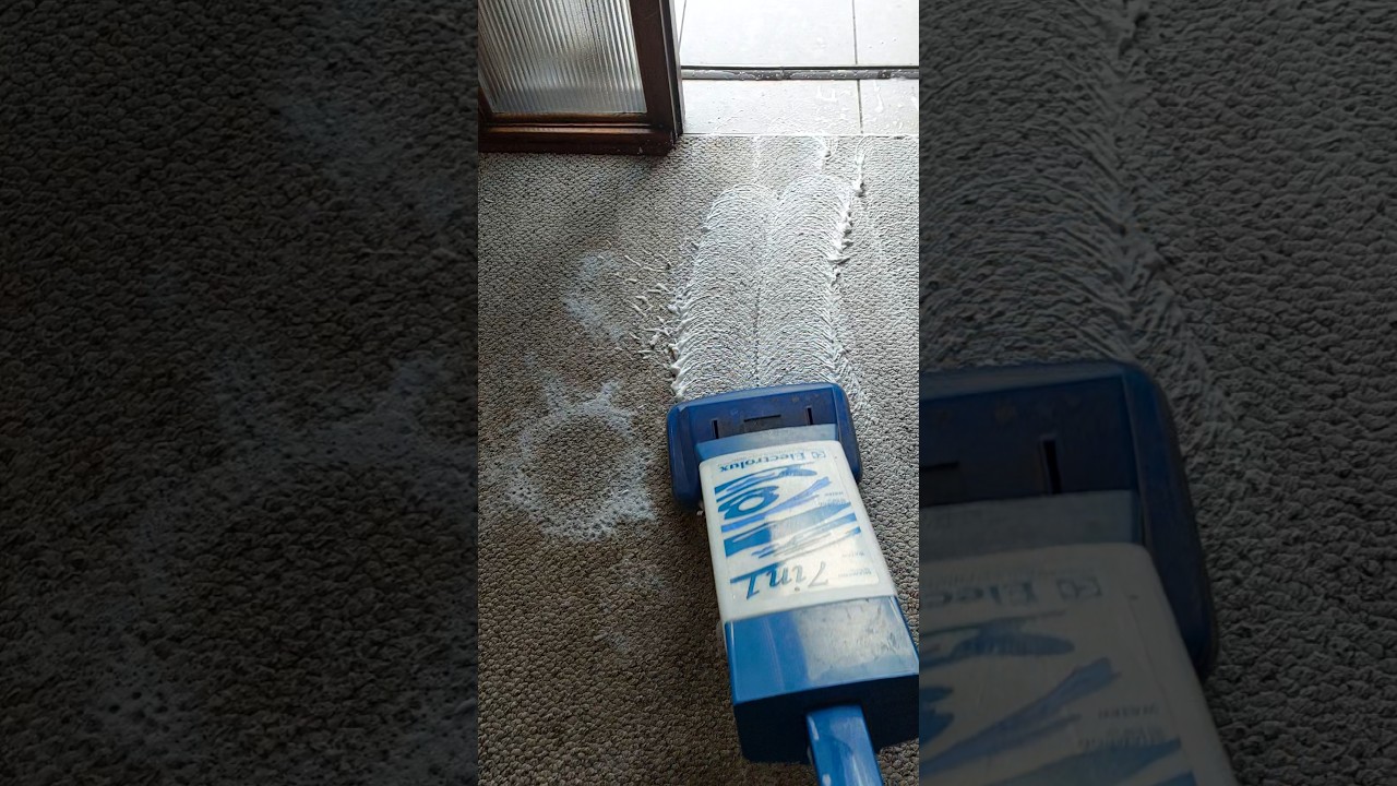 Shark CarpetXpert Carpet Cleaner REVIEW - The Best Carpet Cleaner in 2025 HOOVER® PowerScrub XL+