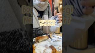 Boşnak Böreği nerede yenir? #bosnahersek #travel #reklam yok