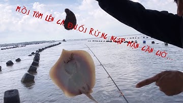 Tập 2. Những Chuyến Trải Nghiệm Câu Cá Rừng Ngập Mặn Cần Giờ (mồi tôm,có thật sự lên nhiều loài cá.)