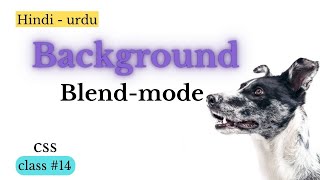 Background-Blend-Mode - CSS tutorial in hindi - urdu  | Class - 14