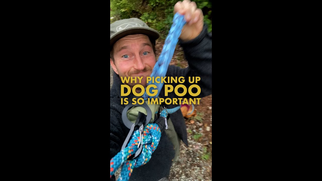Why picking up Dog Poo is so important YouTube