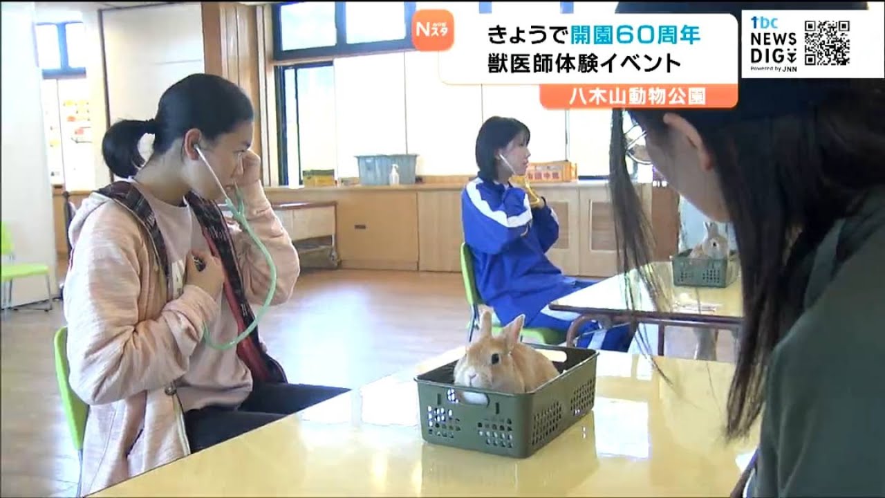 獣医のお仕事体験会に中高生が参加 八木山動物公園の開園60周年