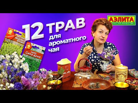 АРОМАТНЫЕ ТРАВЫ ДЛЯ ЧАЯ! Обзор семян трав от Агрофирмы Аэлита
