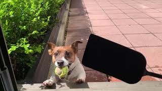 Quarantine Fetch