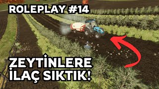 MUHTARLIKTAN İLAÇ MAKİNESİNİ ALDIK ZETİNLERE İLAÇ SIKTIK !! FS22 GERÇEK HAYAT ROLEPLAY BÖLÜM 14