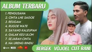 KUMPULAN LAGU TERBAIK 2025 | VOJOEL - BERGEK - CUT RANI AULIZA | RUGOE WATE | REUGAM | PENGUSAHA