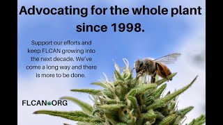 Changes in Attitude- Song for the Cannabis Community