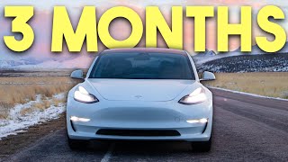 Cheapest Tesla Model 3 Three Months Later - Watch Before You Buy!!