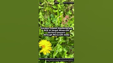 Hackers exploit BleedingPipe RCE to target #minecraftservers, players through #minecraftmods