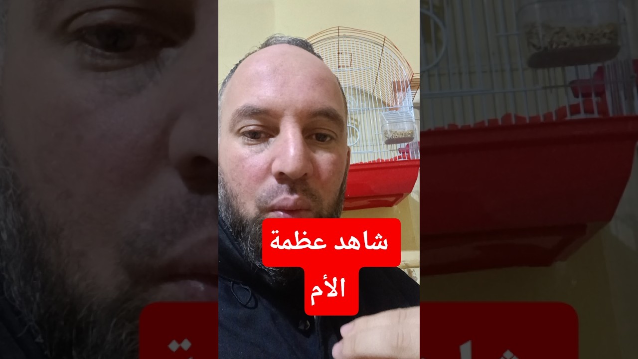 شاهد عظمة الأم لا تخيب ظنها فيك
