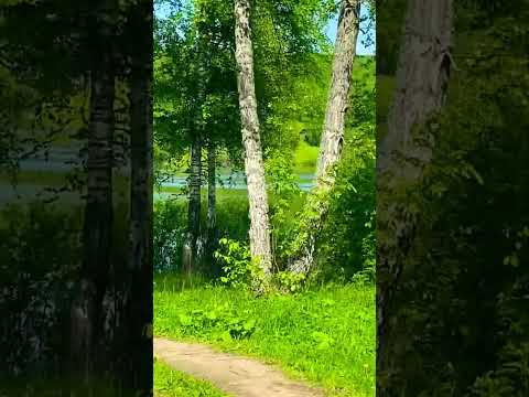 Цитата #life #жизнь #душа #природа #природныепейзажи #урал #nature #лето