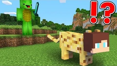 Speedrunner vs. Hunter, But You Can Shapeshift - Minecraft