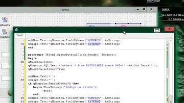 Lazarus Realisar insert y mostrar
