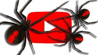 Redback Spider Infestation 2.0 YouTube Problems & Fears 2017