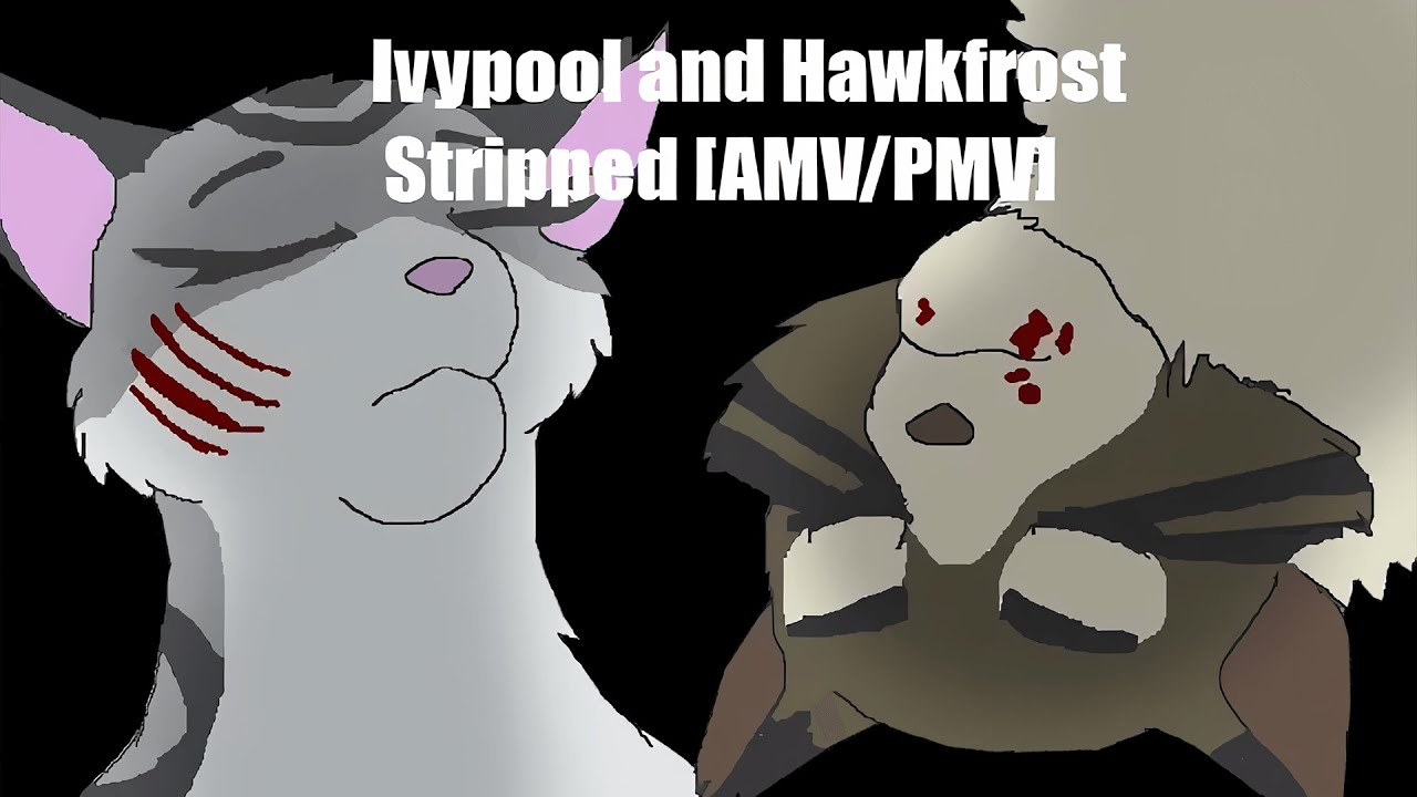 Ivypool and Hawkfrost | Stripped AMV PMV OLD - By Moonlight Shadow / Moonlightnebula.