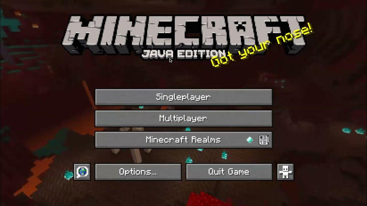 why Minecraft Java is better - YouTube