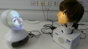 Susan joins the ORCA team!