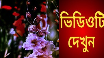 1Minute Photo Edit | Snapseed Picture Editing Tutorial Step by Step Edit Tech #315