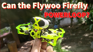 Can the Flywoo Firefly Baby Quad 1.6" with Insta 360 Go 2 Powerloop?