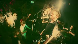 Elfte Timmen - Svalnar