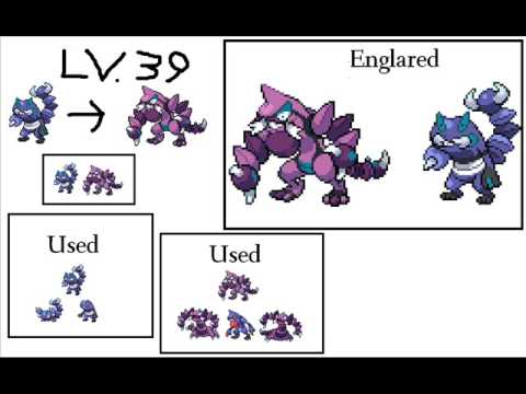 Croagunk Evolution Chart