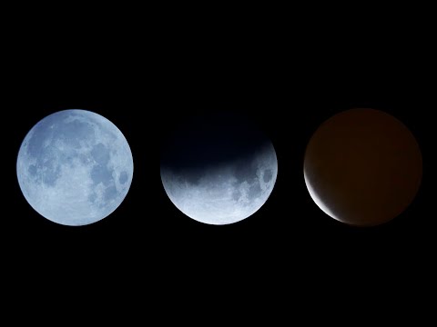 2021 Lunar Eclipse Under 2 Minutes Timelapse - Beaver Moon | 2021 Full Moon