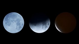 2021 Lunar Eclipse Under 2 Minutes Timelapse - Beaver Moon | 2021 Full Moon by TerkRecoms - Tech TV 31,076 views 2 years ago 1 minute, 59 seconds