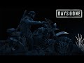 Days Gone (Kubuntu 25.04 GE-Proton10-3) [2160p] {RX 7900XTX}