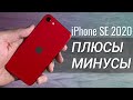 iPhone SE 2 (2020) ПОЛГОДА спустя: ПЛЮСЫ и МИНУСЫ