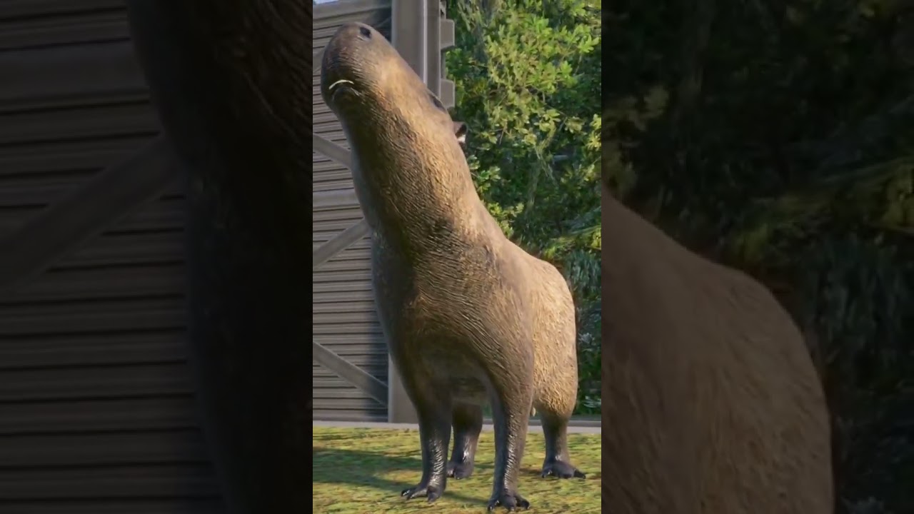 KING KONG VS CAPYBARA 
