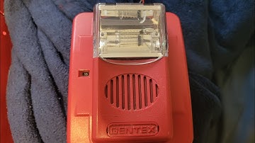 Why gentex commanders have a fast code 3