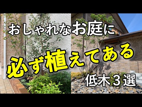 成長が遅くて、大きくならず、落ち葉も落ちにくく、管理がしやすい植木とは…【おすすめの低木３種をご紹介】