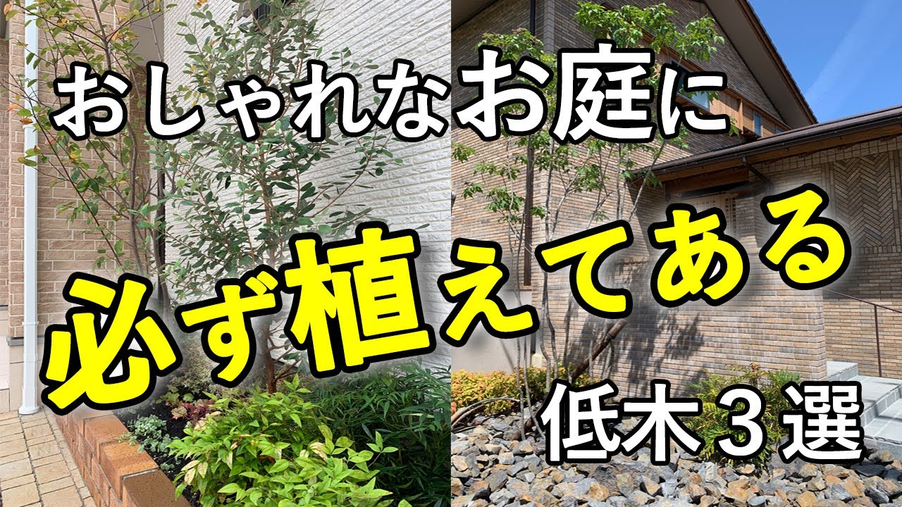 成長が遅くて 大きくならず 落ち葉も落ちにくく 管理がしやすい植木とは おすすめの低木３種をご紹介 Youtube