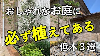 成長が遅くて、大きくならず、落ち葉も落ちにくく、管理がしやすい植木とは…【おすすめの低木３種をご紹介】