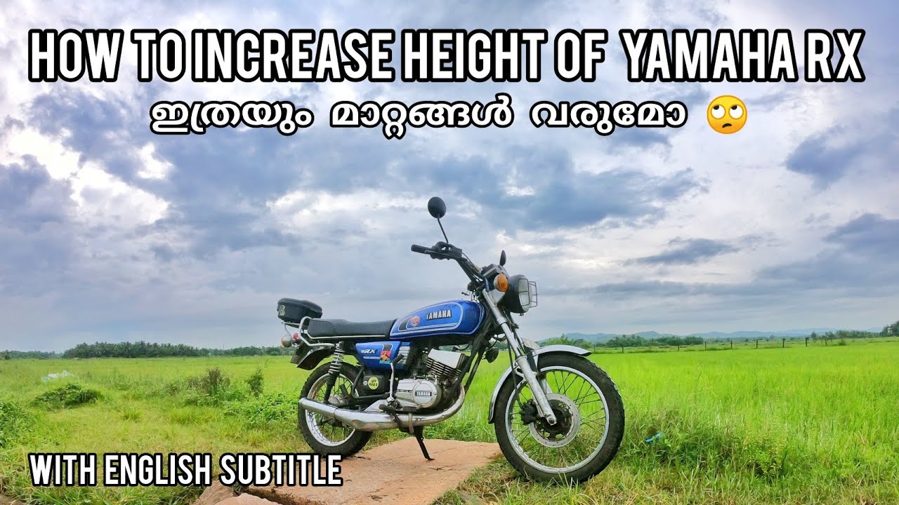 tvs phoenix shock absorber online