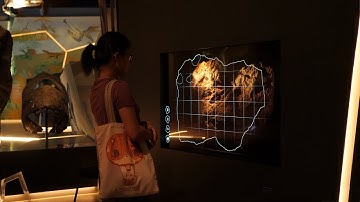 Case Study - Interactive Transparent Display