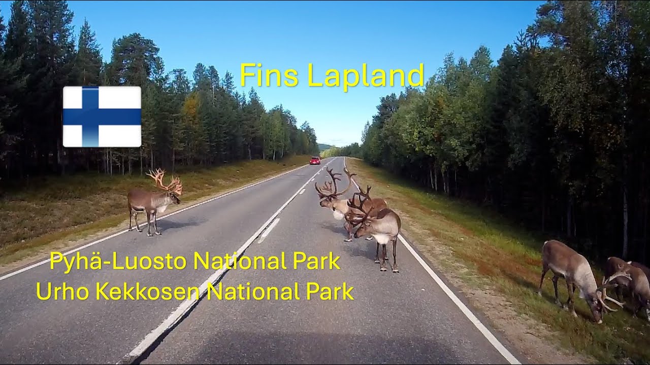 Lapland 2025 #4  Pyhä-Luosto NP en Urho Kekkosen NP
