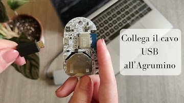 Configurazione Agrumino - Versione Education