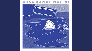 Video thumbnail of "Mild High Club - The Chat"