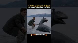 🌊🦖A Boy Found an Ancient Sea Egg And Uncovered a 10,000-Year-Old Mystery!😱 - Mr. Dollywood