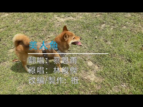 【國語】蔡恩雨 - 美人魚 EDM Cover  feat.祖  (原聲/伴唱) #林俊傑  #jj