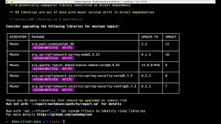 Scan Package Manifests using vet