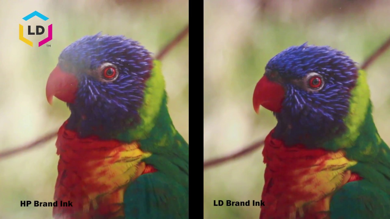Name Brand vs. Remanufactured vs. Compatible Printer Cartridges – Printer  Guides and Tips from LD Products