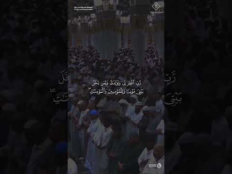 مقتطف من تلاوة فضيلة الشيخ #صالح_المغامسي      من صلاة المغرب 14 ذو الحجة 1447هـ #المسجد_النبوي